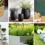 Functional Planters